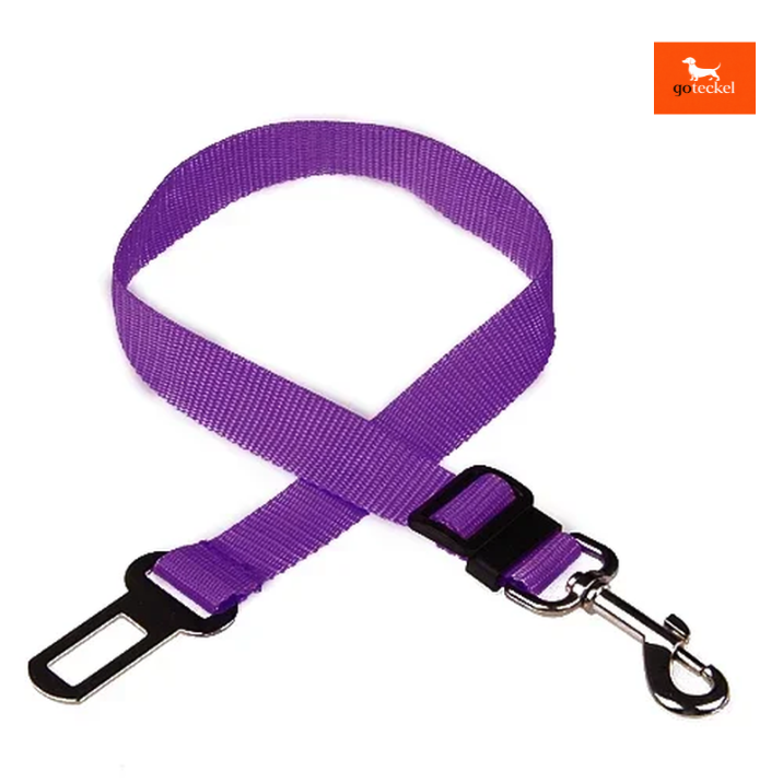 Dog Seat Belt