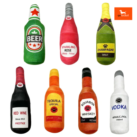  Bottle Toy Design 