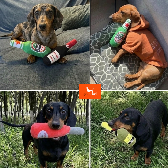  Bottle Toy Design 