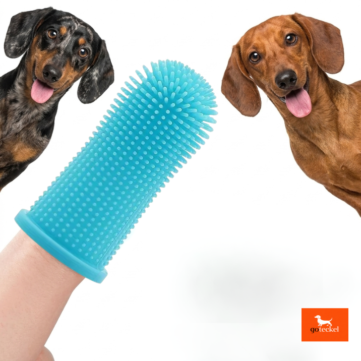 Dog Toothbrush