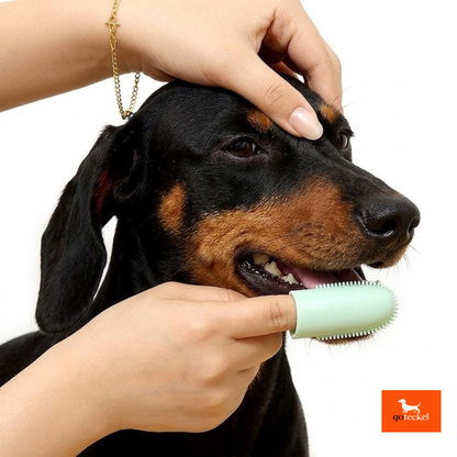 Dog Toothbrush
